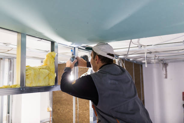 Best Soundproof Insulation  in North Oaks, MN