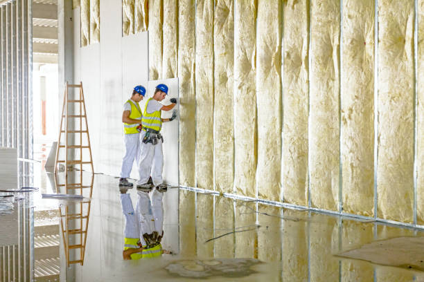 Professional Insulation in North Oaks, MN